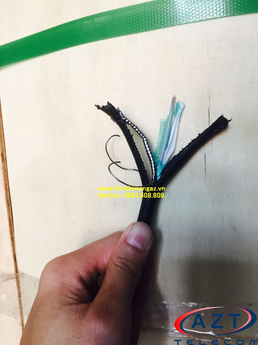 https://vienthonggiatot.com/day-nhay-singlemode.html cap-quang-4fo-chong-chuot