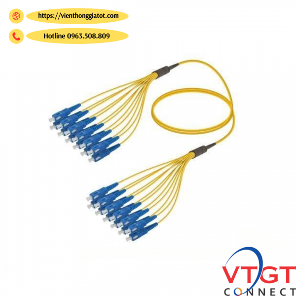 Dây nhảy quang bó 4-8-12-24FO Singlemode SC/UPC To SC/UPC