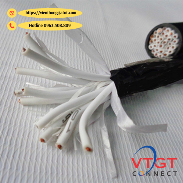 Cáp điều khiển chống nhiễu 10 sợi Sangjin 10Cx0,5