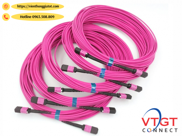Dây nhảy quang MPO-MPO-12Fo Multimode OM4 dài 15M