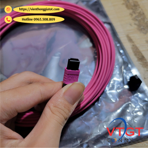 Dây nhảy quang MPO-MPO-12Fo Multimode OM4 dài 25M