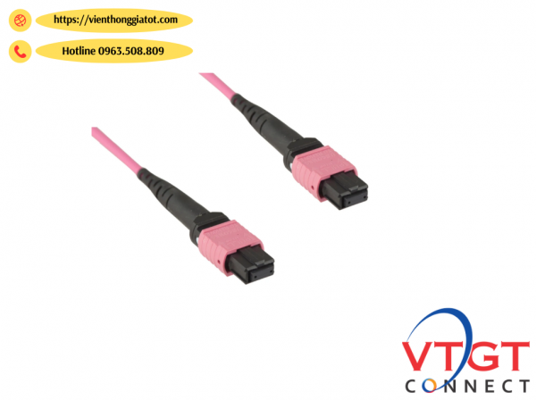 Dây nhảy quang MPO-MPO 12Fo Multimode OM4 , female-female ,Type B dài 3m