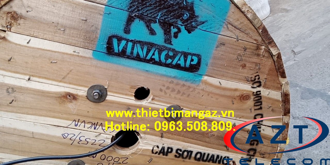 anh-cap-quang-4fo-vincap